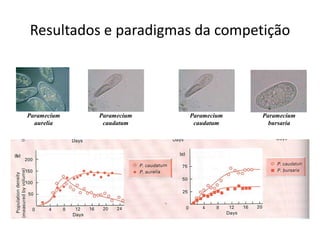 Resultados e paradigmas da competição




Paramecium   Paramecium   Paramecium   Paramecium
  aurelia     caudatum     caudatum      bursaria
 