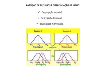 PARTIÇÃO DE RECURSOS E DIFERENCIAÇÃO DE NICHO

           Segregação espacial

          Segregação temporal

         Segregação morfológica
 