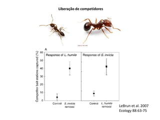 Liberação de competidores
LeBrun et al. 2007
Ecology 88:63-75
 