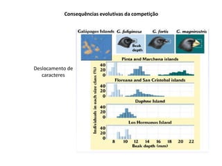 Consequências evolutivas da competição
Deslocamento de
caracteres
 
