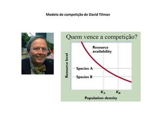 Modelo de competição de David Tilman
 