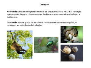 Definição
Herbivoria: Consumo de grande número de presas durante a vida, mas remoção
apenas parte da presa. Dessa maneira, herbívoros possuem efeitos não-letais a
curto prazo.
Granivoria: aquele grupo de herbívoros que consome sementes ou grãos, e
provocam a morte direta do indivíduo.
 