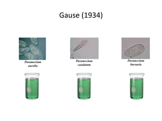 Gause (1934)
Paramecium
aurelia
Paramecium
caudatum
Paramecium
bursaria
 