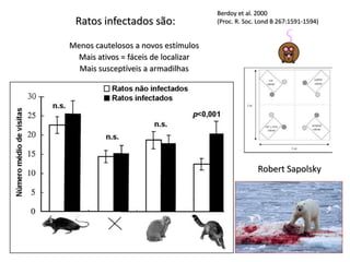 Ratos infectados são:
Menos cautelosos a novos estímulos
Mais ativos = fáceis de localizar
Mais susceptíveis a armadilhas
Berdoy et al. 2000
(Proc. R. Soc. Lond B 267:1591-1594)
Robert Sapolsky
 