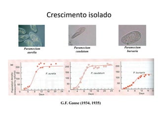 Crescimento isolado
Paramecium
aurelia
Paramecium
caudatum
Paramecium
bursaria
G.F. Gause (1934, 1935)
 