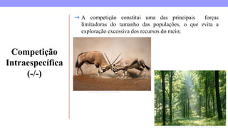 Competição
Intraespecífica
(-/-)
https://escolakids.uol.com.br/ciencias/competicao.htm
➔ A competição constitui uma das principais forças
limitadoras do tamanho das populações, o que evita a
exploração excessiva dos recursos do meio;
https://universodasflores.files.wordpress.com/2013/03/flores-campinas-floricultura152.jpg
 