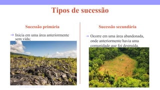Tipos de sucessão
Sucessão primária
➔ Inicia em uma área anteriormente
sem vida;
Sucessão secundária
➔ Ocorre em uma área abandonada,
onde anteriormente havia uma
comunidade que foi destruída.
https://www.biologianet.com/ecologia/sucessao-ecologica.htm
https://brasilescola.uol.com.br/biologia/sucessoes-ecologica.htm
 