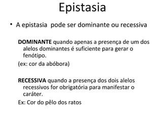 Epistasia 
• A epistasia pode ser dominante ou recessiva 
DOMINANTE quando apenas a presença de um dos 
alelos dominantes é suficiente para gerar o 
fenótipo. 
(ex: cor da abóbora) 
RECESSIVA quando a presença dos dois alelos 
recessivos for obrigatória para manifestar o 
caráter. 
Ex: Cor do pêlo dos ratos 
 