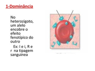 1-Dominância 
No 
heterozigoto, 
um alelo 
encobre o 
efeito 
fenotípico do 
outro 
Ex: I e i, R e 
r na tipagem 
sanguinea 
 