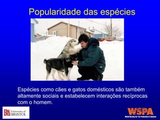 Espécies como cães e gatos domésticos são também
altamente sociais e estabelecem interações recíprocas
com o homem.
Popularidade das espécies
 
