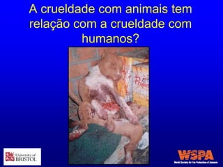 A crueldade com animais tem
relação com a crueldade com
humanos?
 