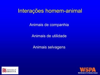 Interações homem-animal
Animais de companhia
Animais de utilidade
Animais selvagens
 