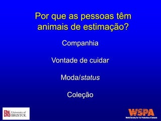Por que as pessoas têm
animais de estimação?
Companhia
Vontade de cuidar
Moda/status
Coleção
 