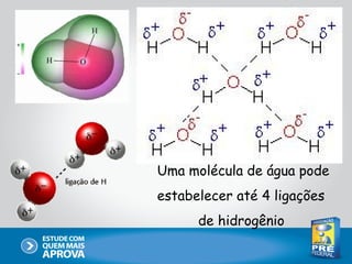 Uma molécula de água pode
estabelecer até 4 ligações
      de hidrogênio
 