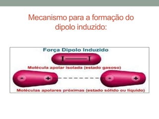 Mecanismo para a formação do
       dipolo induzido:
 