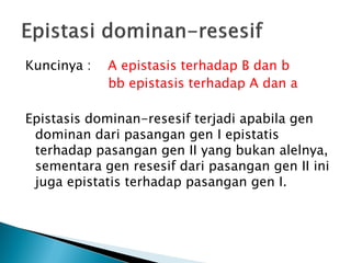 Kuncinya :   A epistasis terhadap B dan b
             bb epistasis terhadap A dan a

Epistasis dominan-resesif terjadi apabila gen
 dominan dari pasangan gen I epistatis
 terhadap pasangan gen II yang bukan alelnya,
 sementara gen resesif dari pasangan gen II ini
 juga epistatis terhadap pasangan gen I.
 