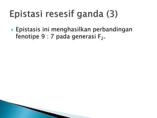    Epistasis ini menghasilkan perbandingan
    fenotipe 9 : 7 pada generasi F2.
 