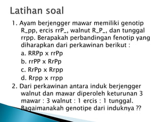 1. Ayam berjengger mawar memiliki genotip
   R_pp, ercis rrP_, walnut R_P_, dan tunggal
   rrpp. Berapakah perbandingan fenotip yang
   diharapkan dari perkawinan berikut :
   a. RRPp x rrPp
   b. rrPP x RrPp
   c. RrPp x Rrpp
   d. Rrpp x rrpp
2. Dari perkawinan antara induk berjengger
   walnut dan mawar diperoleh keturunan 3
   mawar : 3 walnut : 1 ercis : 1 tunggal.
   Bagaimanakah genotipe dari induknya ??
 