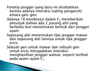Fenotip jengger yang baru ini disebabkan
 karena adanya interaksi (saling pengaruh)
 antara gen-gen.
Adanya 16 kombinasi dalam F2 memberikan
 petunjuk bahwa ada 2 pasang alel yang
 berbeda ikut menentukan bentuk dari jengger
 ayam.
Sepasang alel menentukan tipe jengger mawar
 dan sepasang alel lainnya untuk tipe jengger
 ercis.
Sebuah gen untuk mawar dan sebuah gen
 untuk ercis mengadakan interaksi
 menghasilkan jengger walnut, seperti terlihat
 pada ayam-ayam F1.
 