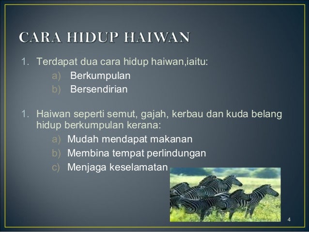 Interaksi Antara Haiwan 1