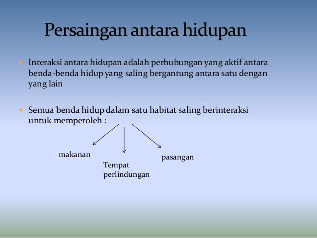 Interaksi Antara Hidupan