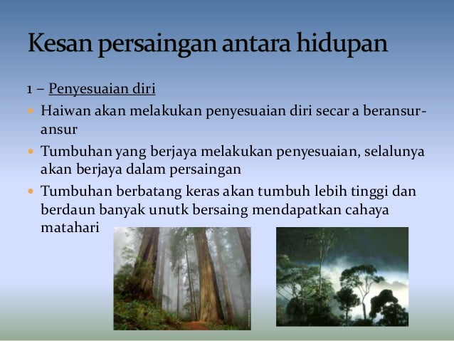 Interaksi Antara Hidupan