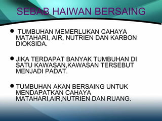 SEBAB HAIWAN BERSAING
 TUMBUHAN MEMERLUKAN CAHAYA
MATAHARI, AIR, NUTRIEN DAN KARBON
DIOKSIDA.
JIKA TERDAPAT BANYAK TUMBUHAN DI
SATU KAWASAN,KAWASAN TERSEBUT
MENJADI PADAT.
TUMBUHAN AKAN BERSAING UNTUK
MENDAPATKAN CAHAYA
MATAHARI,AIR,NUTRIEN DAN RUANG.

 