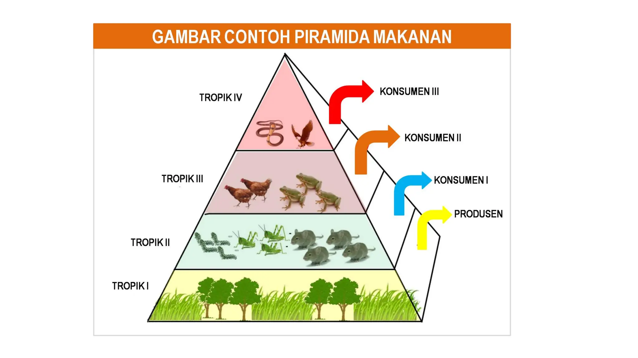 Interaksi Antar Komponen dalam Ekosistem.pdf