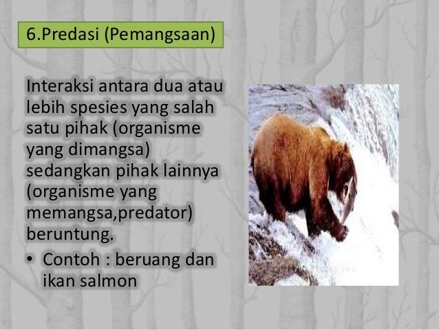 Interaksi antar spesies