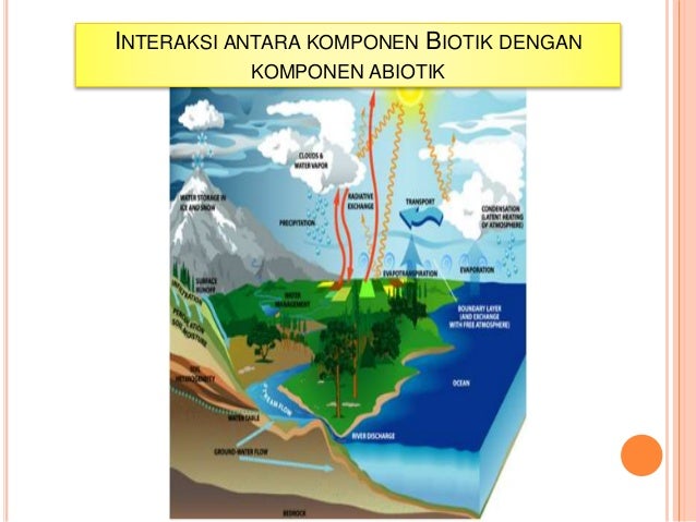 Interaksi antar spesies pada ekosistem