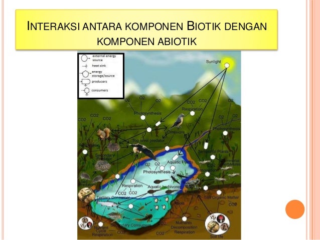 Interaksi antar spesies pada ekosistem