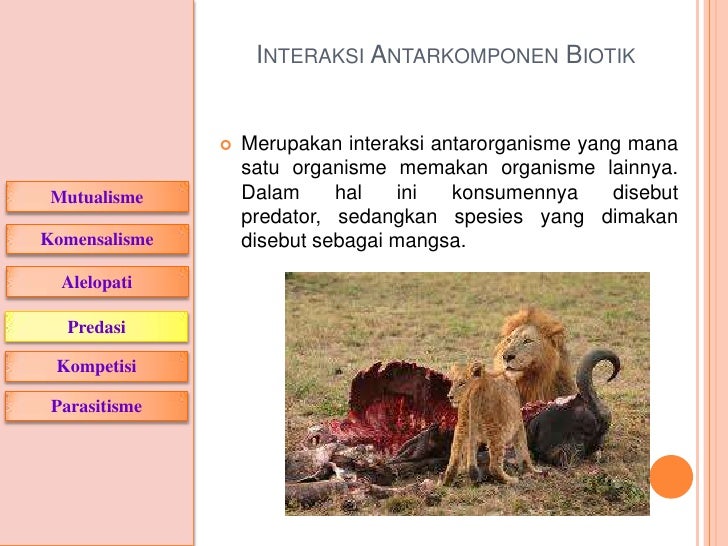 Interaksi dalam ekosistem