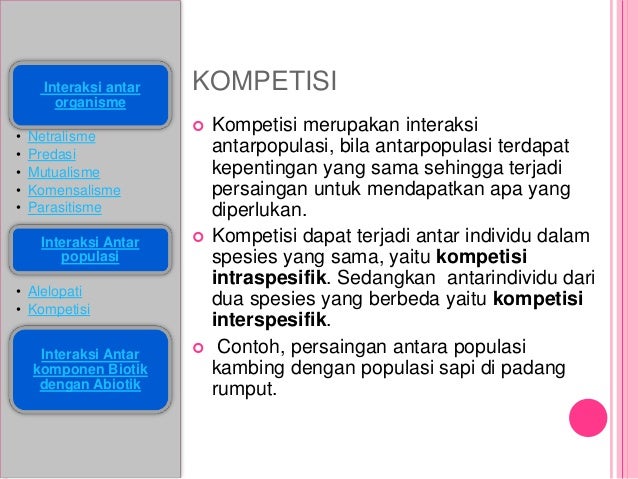 Interaksi dalam ekosistem