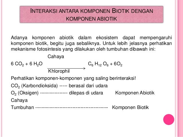 Interaksi dalam ekosistem