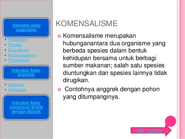 Interaksi dalam ekosistem