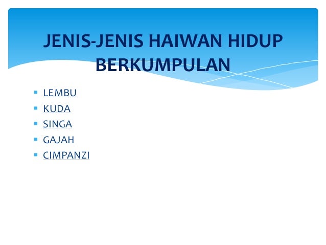 Interaksi Haiwan Haziq