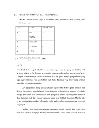IV. HASIL PENGAMATAN DAN PEMBAHASAN
1. Berikut adalah analisis tingkat kerusakan yang disebabkan oleh belalang pada
tanaman padi:
Skor Skala Jumlah daun
0 0% 5
1 0-25% 4
2 26%-50% 4
3 51%-75% 4
4 >75% 3
=45%
Dari hasil diatas dapat diketahui bahwa besarnya intensitas yang disebabkan oleh
belalang sebesar 45%. Dimana besarnya ini merupakan kerusakan yang relative besar.
Dengan ditimbulkannya kerusakan hamper 50% ini perlu adanya pengendalian yang
tepat agar intensitas yang disebabkan oleh hama belalang yang menyerang tanaman
padi tidak bertambah parah lagi.
Dari pengamatan yang telah dilakukan dapat dilihat bahwa pada tanaman padi
dengan diserangnya hama belalang ditandai dengan terdapat gejala serangan. Gejala ini
berupa daun-daun telah dimakan dari arah pinggir ke dalam. Belalang akan memakan
daun tanaman padi dari pinggir sehingga daun akan terlihat abnormal. Melihat atas
gejala ini dapat disimpulkan bahwa alat mulut pada belalang merupakan tipe penggigit
pengunyah.
Belalang akan bersembunyi pada pematang pinggir sawah, dan ketika akan
memakan tanaman inangnya, belalang akan melompat ke area lahan padi dan memakan
IS 100%
 