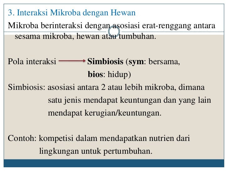 Interaksi mikroba 2011 Interaksi mikroba 2011