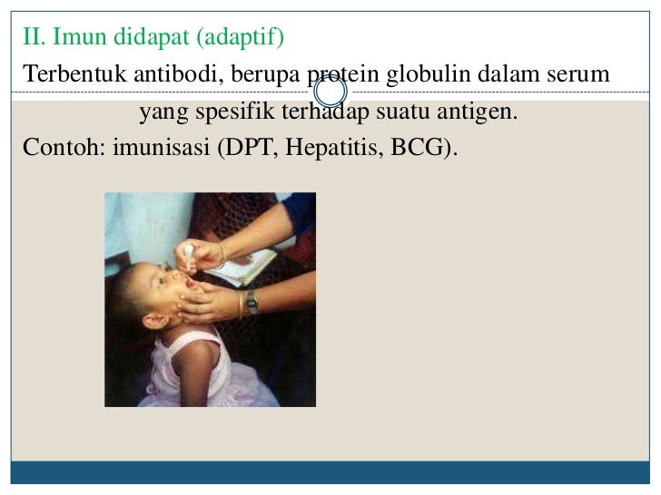 Interaksi mikroba 2011