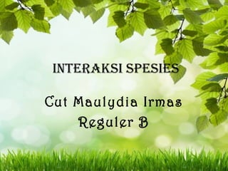 InteraksI spesIes
Cut Maulydia Irmas
Reguler B

 