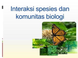 Interaksi spesies dan
komunitas biologi
 