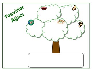 İnteraktiv iş vərəqləri 4