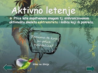 Klikni na Silvija
 