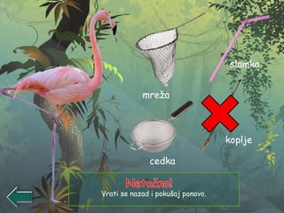 Vrati se nazad i pokušaj ponovo.
mreža
slamka
cedka
koplje
 
