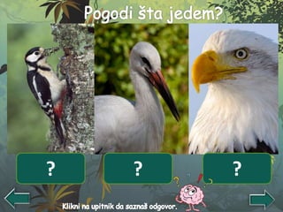 Insekti Žabe, ribe, zmije Kidanje mesa
? ? ?
 