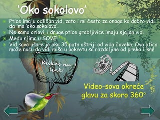  Ptice imaju odličan vid, zato i mi često za onoga ko dobro vidi
da ima ‘oko sokolovo’.
 Ne samo orlovi, i druge ptice grabljivice imaju sjajan vid.
 Među njima u SOVE!
 Vid sove ušare je oko 35 puta oštriji od vida čoveka. Ova ptica
može noću da vidi miša u pokretu sa razdaljine od preko 1 km!
Video-sova okreće
glavu za skoro 360
 