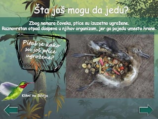 Klikni na Silvija
 