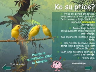  Ptice su, pored gmizavaca,
vodozemaca i sisara jedan od
četiri razreda koji čine klasu
kopnenih kičmenjaka
(tetrapoda).
 Nauka koja se bavi
proučavanjem ptica naziva se
ornitologija.
 Kao organe za kretanje imaju
krila.
 Kao telesni pokrivač imaju
perje koje podmazuju lojnom
trtičnom žlezdom.
 Menjanje telesnog pokrivača
zove se mitarenje.
 Polažu jaja.
Nastavi daljeVrati se nazad.
 