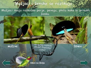 ŽENKAMUŽJAK
Klikni na Silvija
 