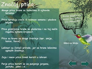 Mnoge ptice hrane se insketima ili njihovim
larvama.
Ptice oprašuju cveće ili raznose semena i plodove
biljaka.
Ptice grabljivice hrane se glodarima i na taj način
regulišu njihovu brojnost.
Ptice su hrana za druge životinje (npr. zmije,
lasice, lisice).
Lešinari su čistači prirode, jer se hrane leševima
uginulih životinja.
Jaja i meso ptica čovek koristi u ishrani.
Perje ptica koristi se za punjenje jorgana,
jastuka, jakni i sl.
Klikni na Silvija
 